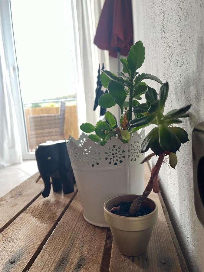Schoene Wohnung In Ruhiger Laendlicher Lage Heidenheim  외부 사진